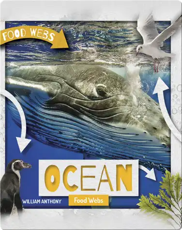 Ocean Food Webs book