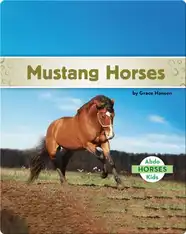 Mustang Horses