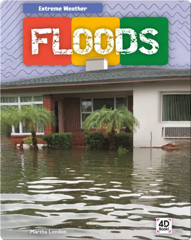 Extreme Weather: Floods book