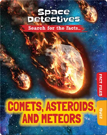 Space Detectives: Comets, Asteroids, and Meteors book