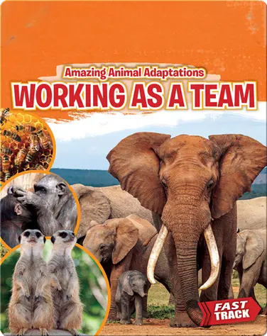 Amazing Animal Adaptations: Working As a Team book