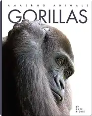 Amazing Animals: Gorillas