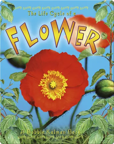 The Life Cycle of a Flower book
