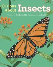 Discovering Nature: Curious About Insects