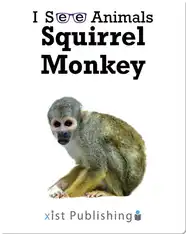 I See Animals: Squirrel Monkey