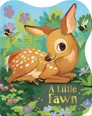 A Little Fawn
