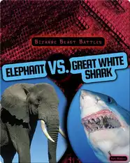 Bizarre Beast Battles: Elephant vs. Great White Shark