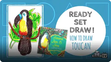 Ready Set Draw! How to Draw a TOUCAN from ANTEATERS, BATS & BOAS with Roxie Munro book