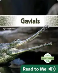 Spooky Animals: Gavials