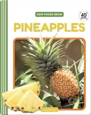 How Foods Grow: Pineapples