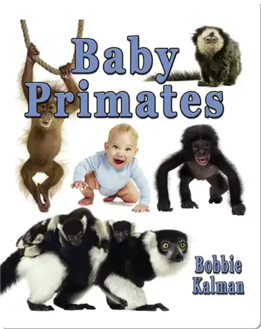 Baby Primates book