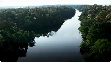 AnimalFanPedia: Amazonian Adventure book