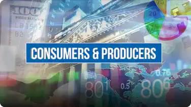 Economics Course: Consumers and Producers book