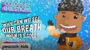 Colossal Questions: Why Can You See Your Breath When It's Cold?