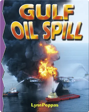 Gulf Oil Spill book