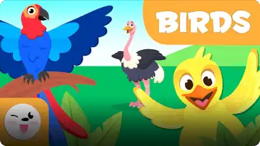 Smile and Learn Animals: Birds book