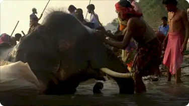 Hidden India: Life on the Ganges book