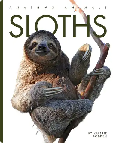 Amazing Animals: Sloths book