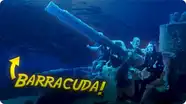 Massive Shipwreck Surrounded by Barracuda in Portugal