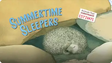 Summertime Sleepers book