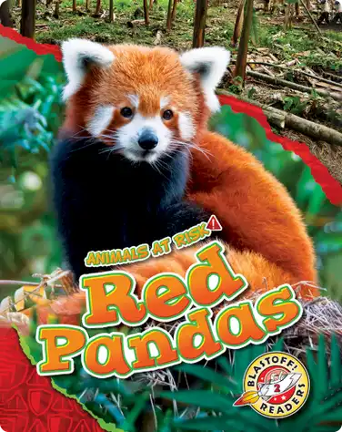Red Pandas book