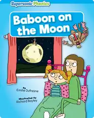 Baboon on the Moon