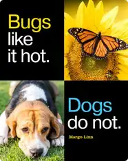 Bugs Like it Hot, Dogs Do Not