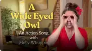 A Wide Eyed Owl