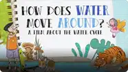 How Does Water Move Around