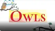 Owls