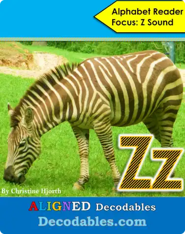 Zz Book book