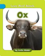 Ox