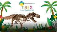 Smithsonian: T-Rex