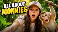 All About Monkeys: Wild Facts for Kids