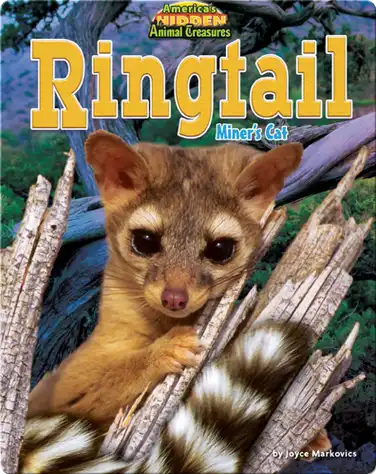 Ringtail: Miner's Cat book