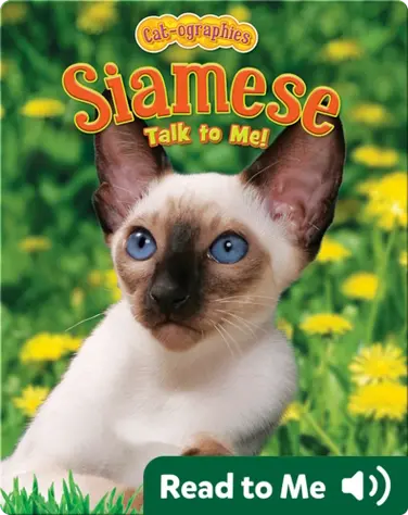Siamese: Talk To Me! book