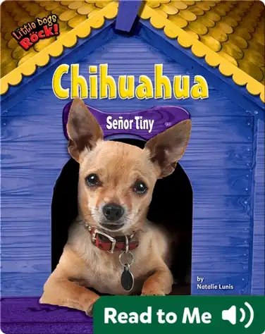 Chihuahua: Señor Tiny book