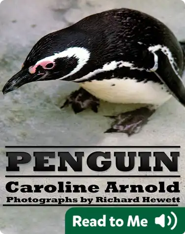 Penguin book