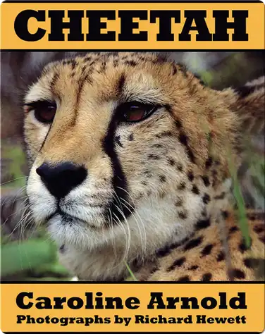 Cheetah book