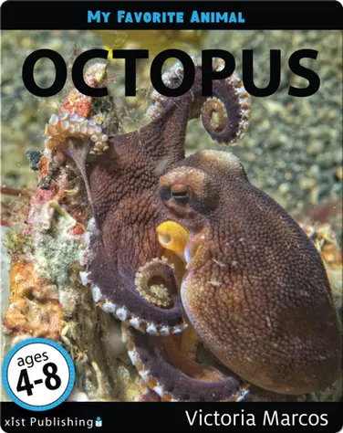 My Favorite Animal: Octopus book