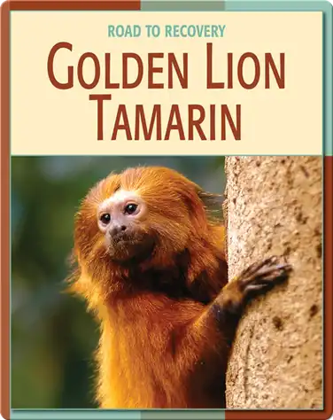 Road To Recovery: Golden Lion Tamarin book
