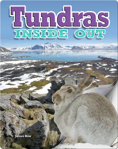Tundras Inside Out book
