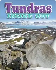 Tundras Inside Out
