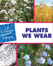 Plants We Wear