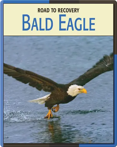 Road To Recovery: Bald Eagle book