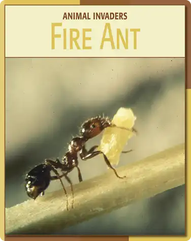 Animal Invaders: Fire Ant book