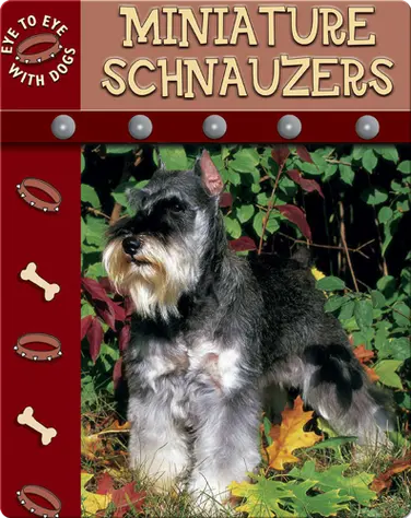 Eye To Eye With Dogs: Miniature Schnauzers book