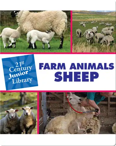 Farm Animals: Sheep book