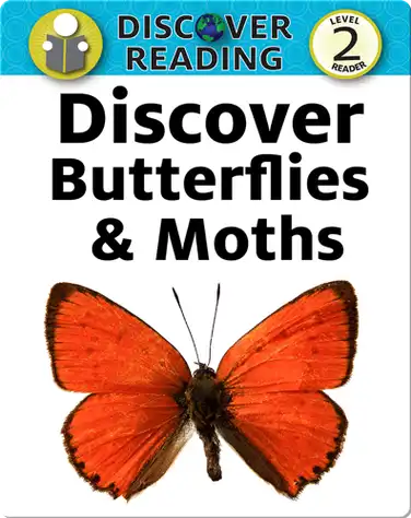 Discover Butterflies and Moths book