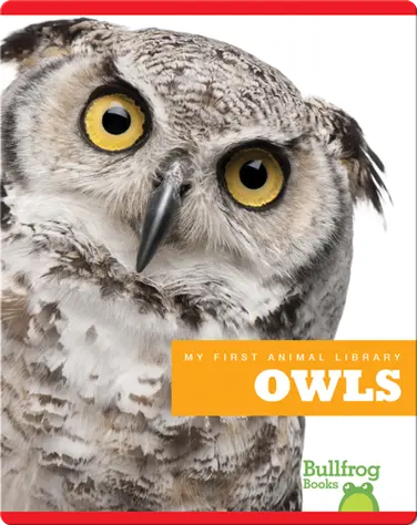 My First Animal Library: Owls book